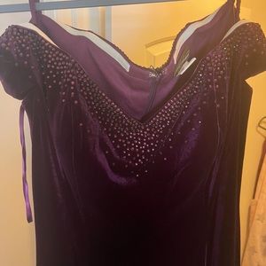 Plum velvet Gown